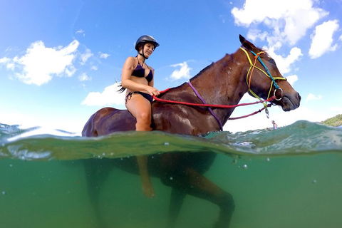 Horse Swimming Ride From Rainbow Beach - Winery Find 1