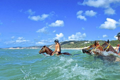 Horse Swimming Ride From Rainbow Beach - Winery Find 0