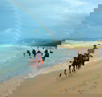 Rainbow Beach Horse Ride - Winery Find
