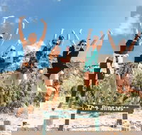 2-Day Fraser Island 4WD Adventure Tour Departing Rainbow Beach - Winery Find