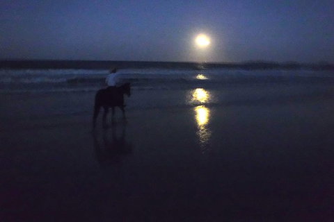 Full Moon Horse Ride At Rainbow Beach - Winery Find 0