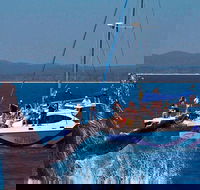 Blue Dolphin Exclusive Whale Watch Encounters - Winery Find