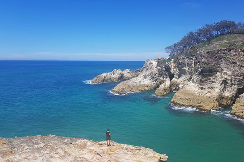 Full-Day Tour To North Stradbroke Island From Brisbane - Winery Find 0