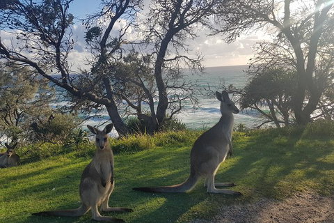 Full-Day Tour To North Stradbroke Island From Brisbane - Winery Find 1