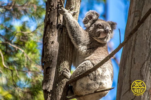 Full-Day Tour To North Stradbroke Island From Brisbane - Winery Find 8