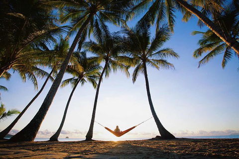 Port Douglas And Hartley's Crocodile Adventure Day Trip From Cairns - Winery Find 0