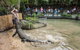 Hartley\'s Crocodile Adventures General Entry Ticket - thumb 2