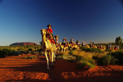 Uluru Small-Group Tour By Camel At Sunrise Or Sunset - Winery Find 29