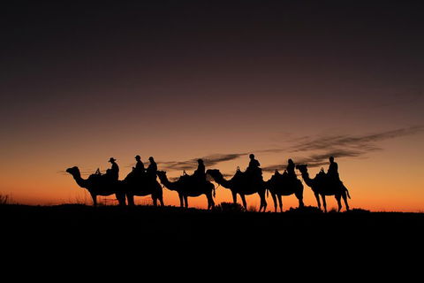 Uluru Small-Group Tour By Camel At Sunrise Or Sunset - Winery Find 27