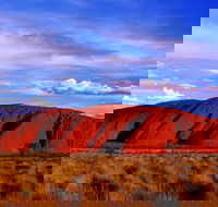 Uluru and Kata Tjuta Experience with BBQ Dinner - Winery Find