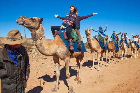Alice Springs Camel Tour - Winery Find 7