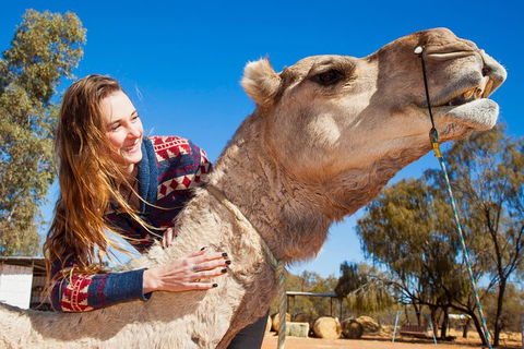 Alice Springs Camel Tour - Winery Find 6