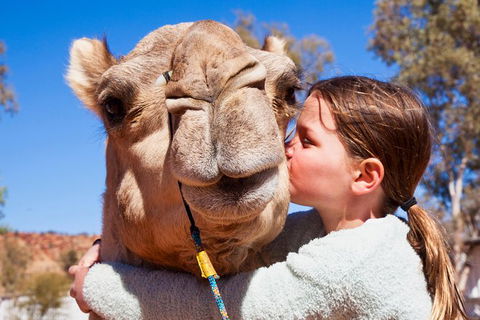Alice Springs Camel Tour - Winery Find 2