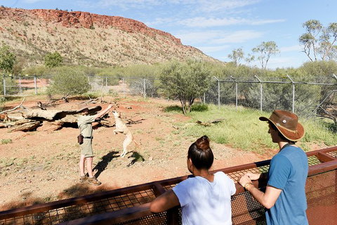 Alice Springs Desert Park General Entry Ticket - Winery Find 9