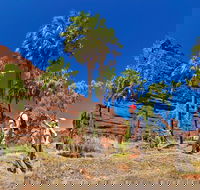 Palm Valley 4WD Tour from Alice Springs - Winery Find