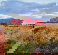 2-Day Uluru Ayers Rock National Park Explorer Trip from Alice Springs - Winery Find