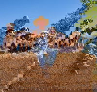 Skip-the-Line Katherine Outback Experience Show Ticket - Winery Find