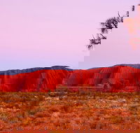 Best of Ayers Rock Sunset Uluru and Sunrise Kata Tjuta Small Group Tours - Winery Find