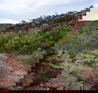 Palm Valley and Hermannsburg 1 Day 4WD Tour - Winery Find