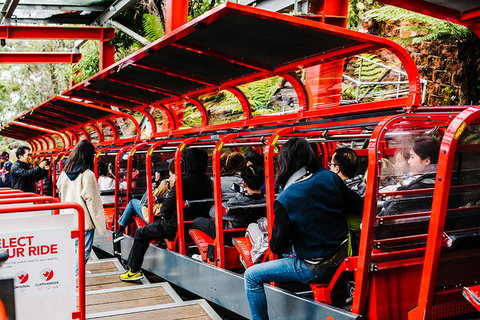 All-Inclusive Blue Mountains Day Trip With River Cruise - Winery Find 7