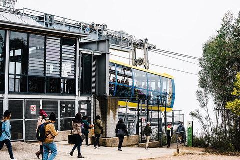 All-Inclusive Blue Mountains Day Trip With River Cruise - Winery Find 9