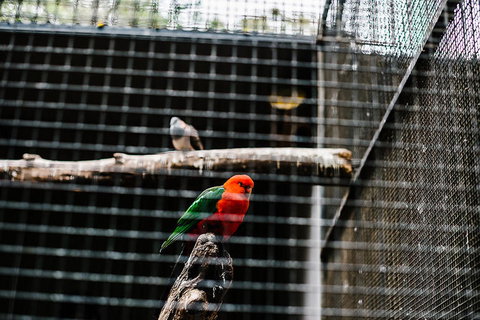 All-Inclusive Blue Mountains Day Trip With River Cruise - Winery Find 17