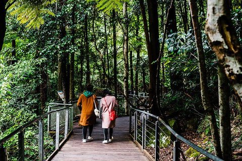 All-Inclusive Blue Mountains Day Trip With River Cruise - Winery Find 10