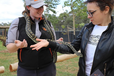 All-Inclusive Blue Mountains Day Trip With River Cruise - Winery Find 37