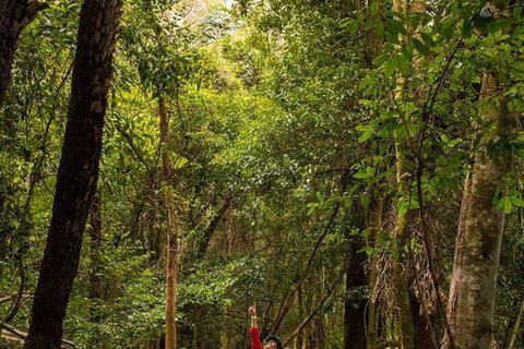 All-Inclusive Blue Mountains Day Trip With River Cruise - Winery Find 26