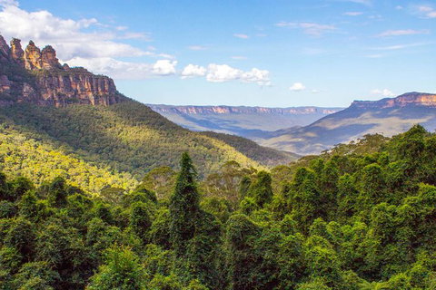 All-Inclusive Blue Mountains Day Trip With River Cruise - Winery Find 28