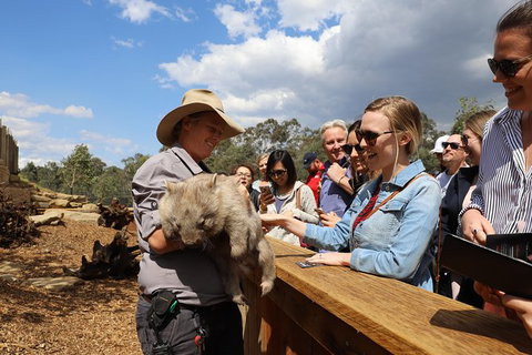 All-Inclusive Blue Mountains Day Trip With River Cruise - Winery Find 27