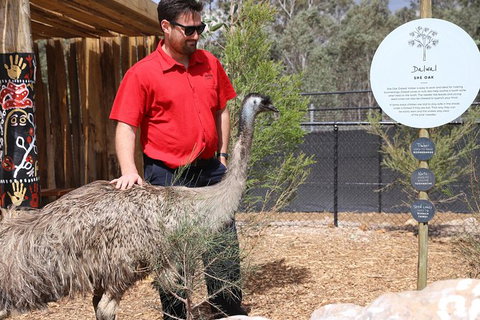 All-Inclusive Blue Mountains Day Trip With River Cruise - Winery Find 24