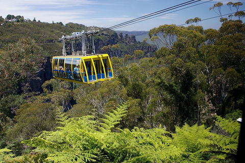 Go Sydney Explorer Pass With Hop-on Hop-Off Bus, Taronga Zoo And More - Winery Find 10