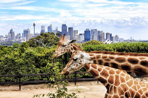 Go Sydney Explorer Pass With Hop-on Hop-Off Bus, Taronga Zoo And More - Winery Find 5