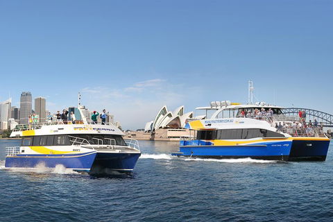Go Sydney Explorer Pass With Hop-on Hop-Off Bus, Taronga Zoo And More - Winery Find 7