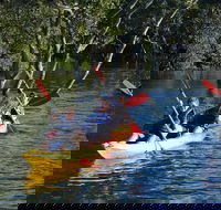 Kayak and SUP Guided Tours - Winery Find