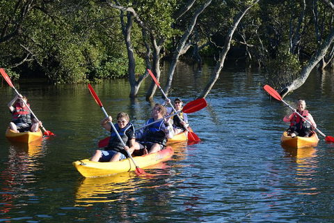 Kayak And SUP Guided Tours - Winery Find 0