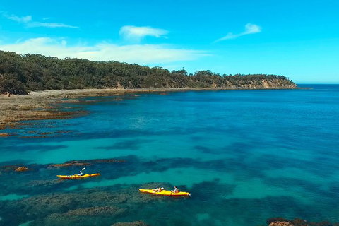 Batemans Bay Full Day Sea Kayak Tour With Beach Picnic Lunch - Winery Find 7