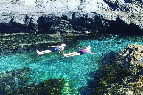 Batemans Bay Full Day Sea Kayak Tour With Beach Picnic Lunch - Winery Find 6