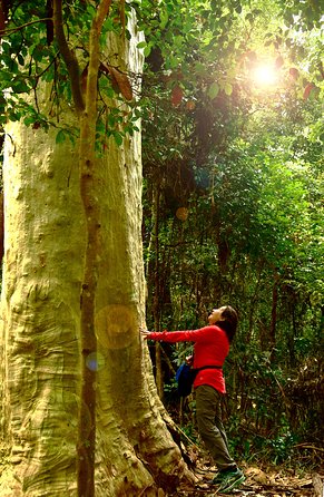 3 Day Murramarang Coast Journey From Batemans Bay With Meals And Villa Accom - Winery Find 4