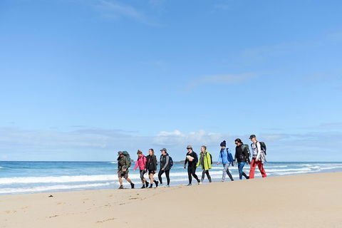 3 Day Murramarang Coast Journey From Batemans Bay With Meals And Villa Accom - Winery Find 7