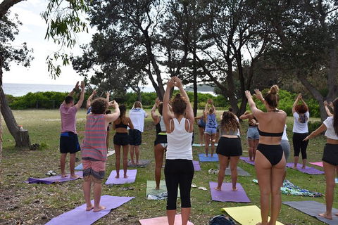 7-Day Byron Bay, Evans Head And Moonee Beach Surf Safari From Brisbane, Gold Coast Or Byron Bay - Winery Find 3