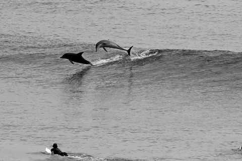7-Day Byron Bay, Evans Head And Moonee Beach Surf Safari From Brisbane, Gold Coast Or Byron Bay - Winery Find 6