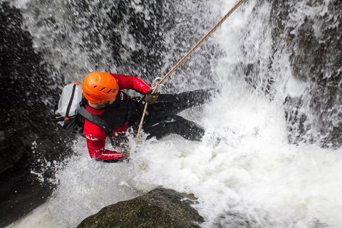 Full Day Sub-Tropical Rainforest Canyoning Adventure From Sydney - Winery Find 0