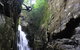 Full Day Sub-Tropical Rainforest Canyoning Adventure From Sydney - thumb 1