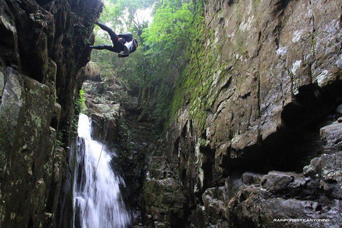 Full Day Sub-Tropical Rainforest Canyoning Adventure From Sydney - Winery Find 7