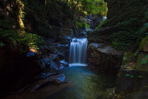 Full Day Sub-Tropical Rainforest Canyoning Adventure From Sydney - Winery Find 8