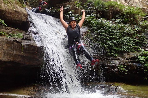 Full Day Sub-Tropical Rainforest Canyoning Adventure From Sydney - Winery Find 3