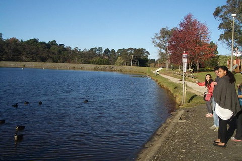 All-Day Blue Mountains Private Tour With Professional Guide For Up To 4 People - Winery Find 24