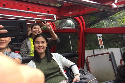 All-Day Blue Mountains Private Tour With Professional Guide For Up To 4 People - Winery Find 15